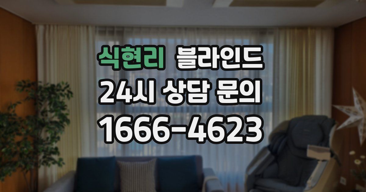 식현리 블라인드