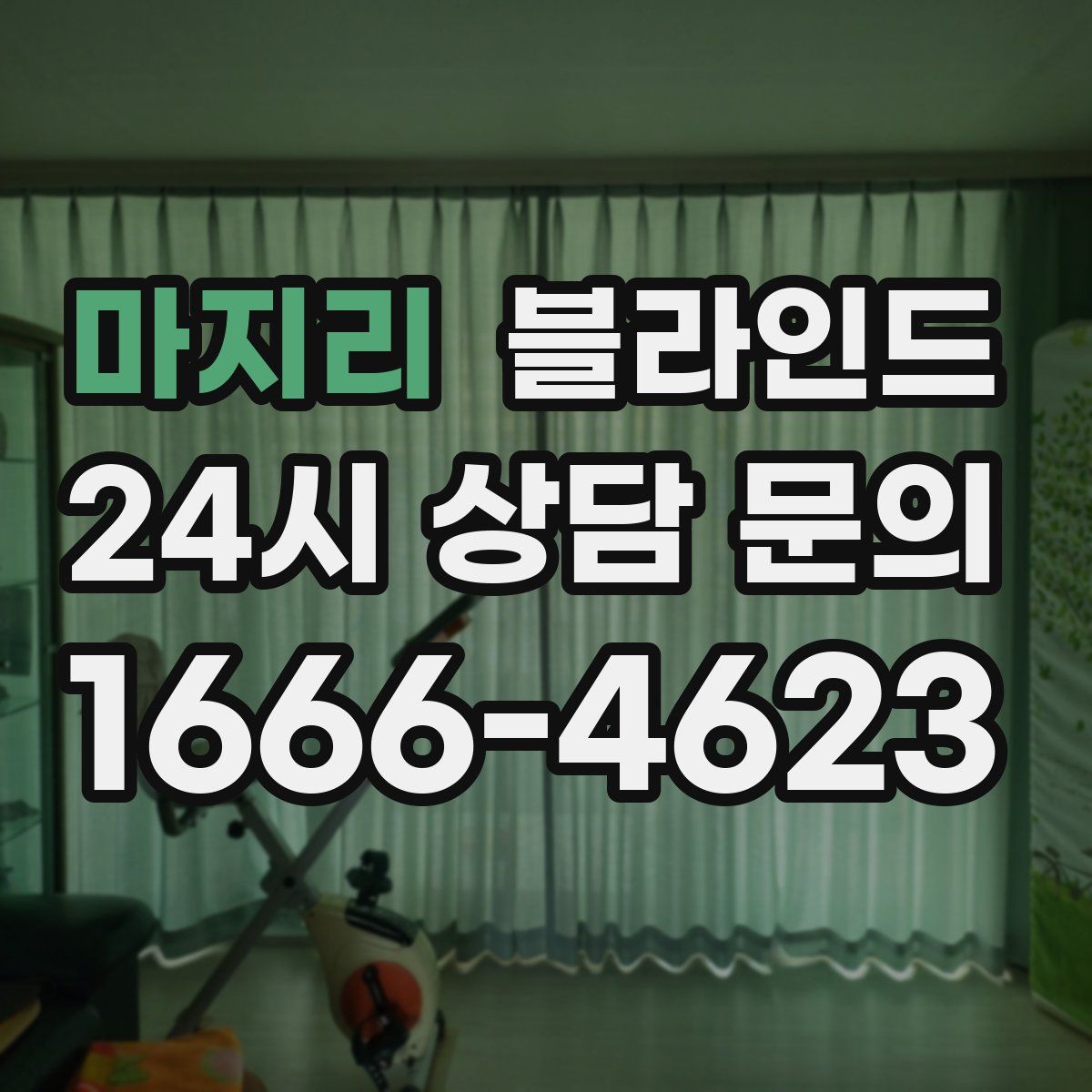 마지리 블라인드