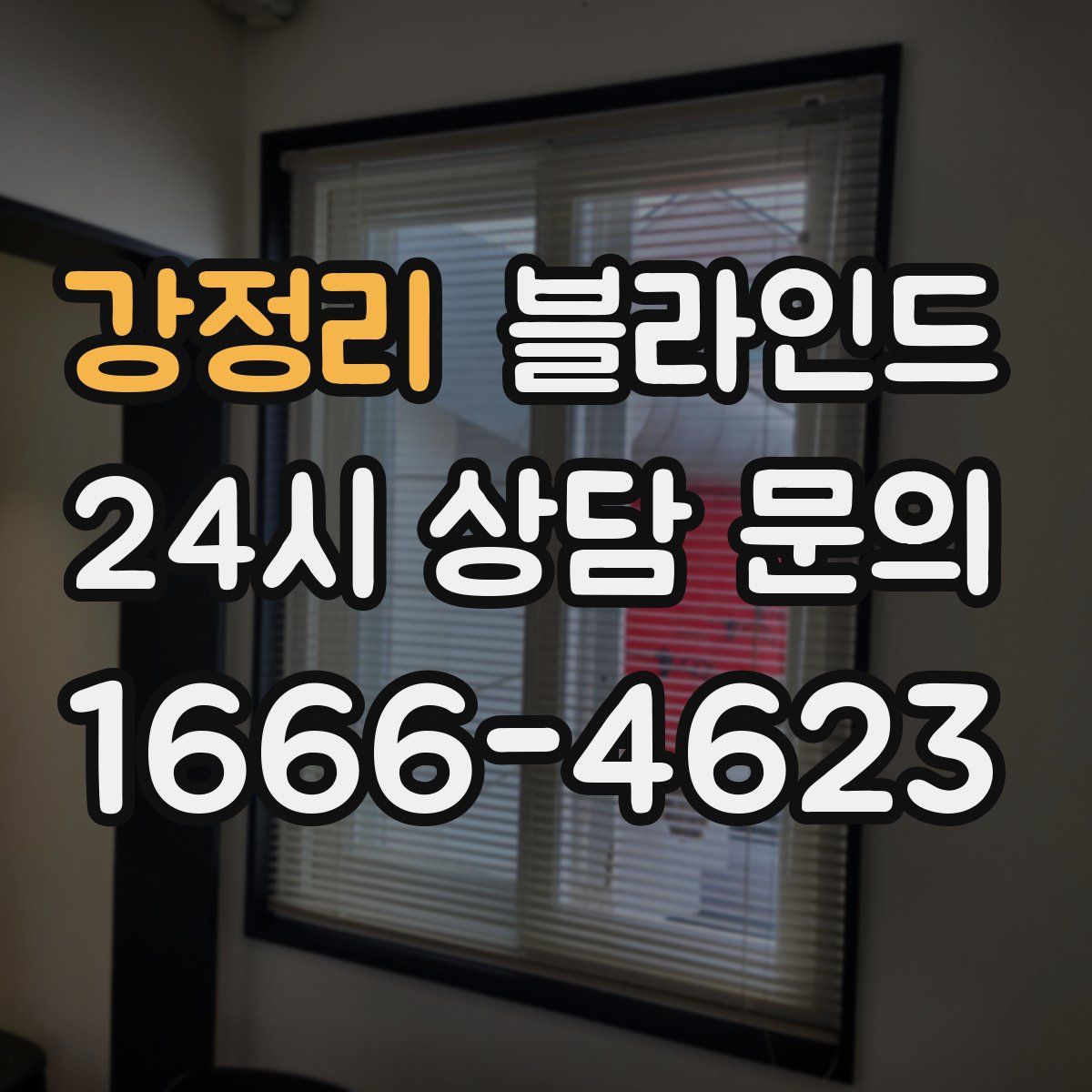 강정리 블라인드
