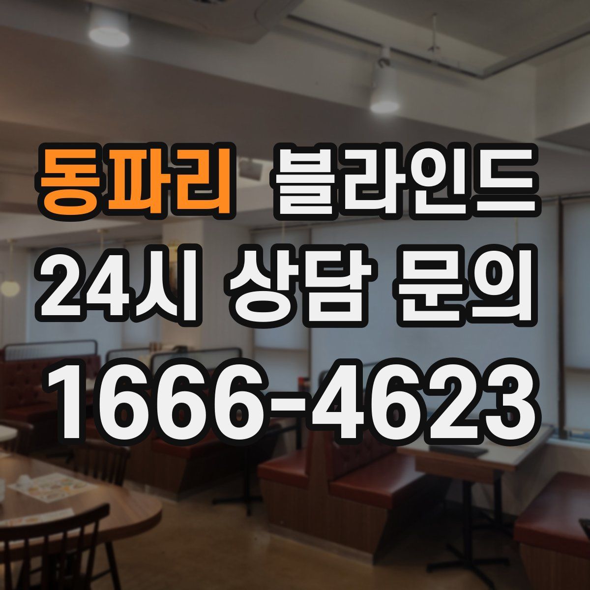 동파리 블라인드