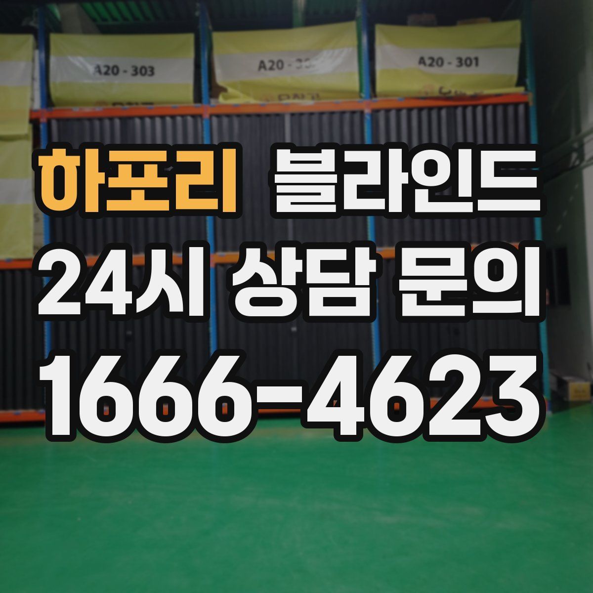 하포리 블라인드