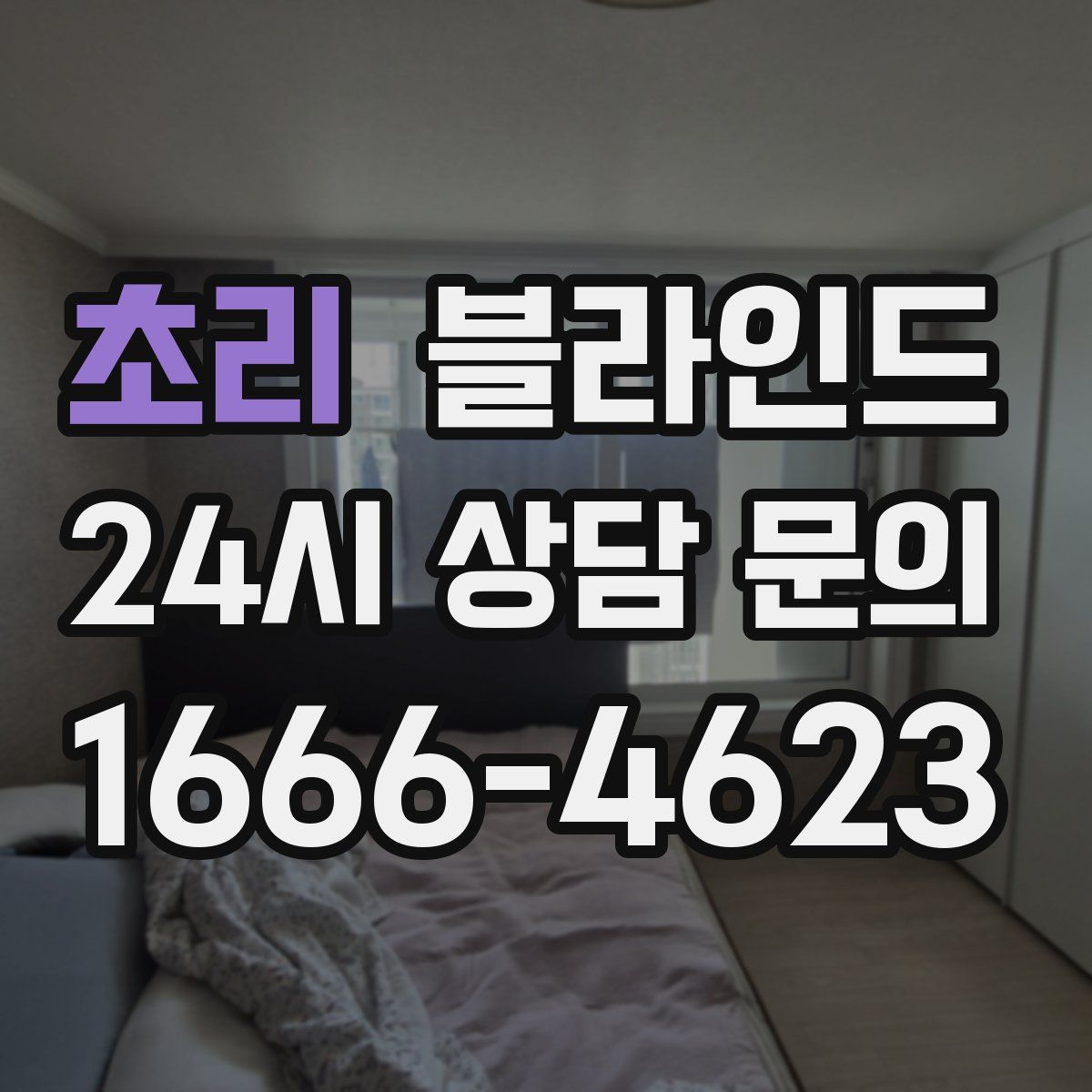 초리 블라인드