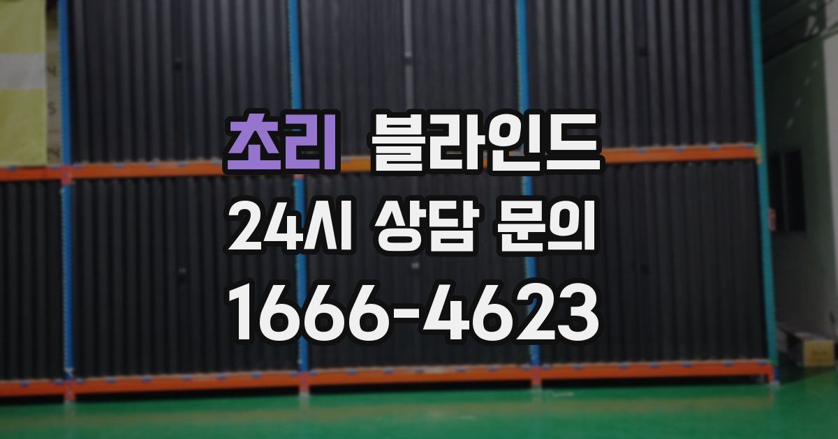 초리 블라인드