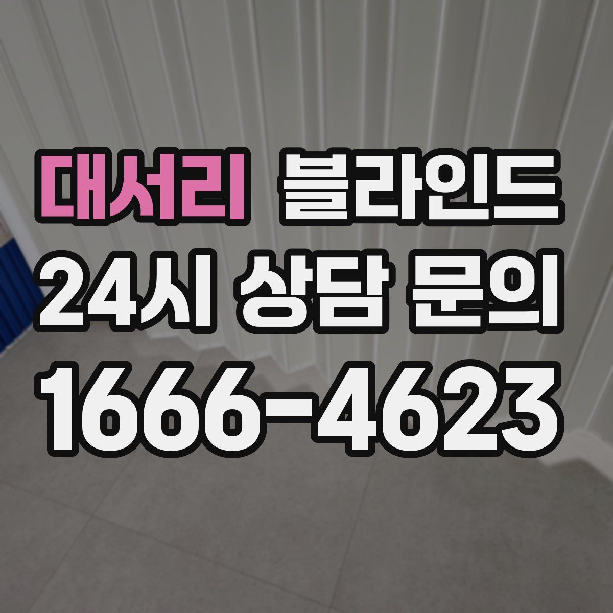 대서리 블라인드