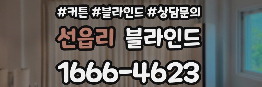 선읍리 블라인드