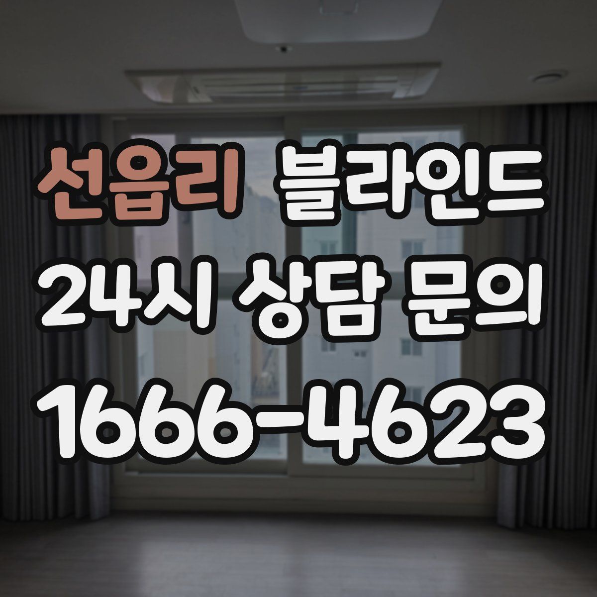 선읍리 블라인드