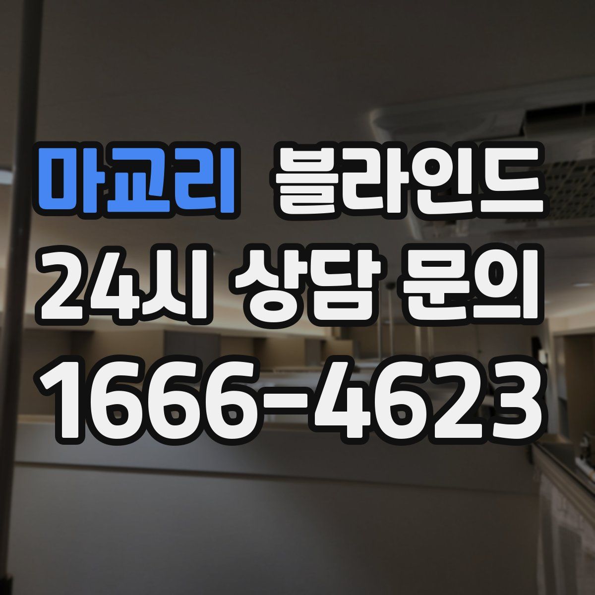 마교리 블라인드