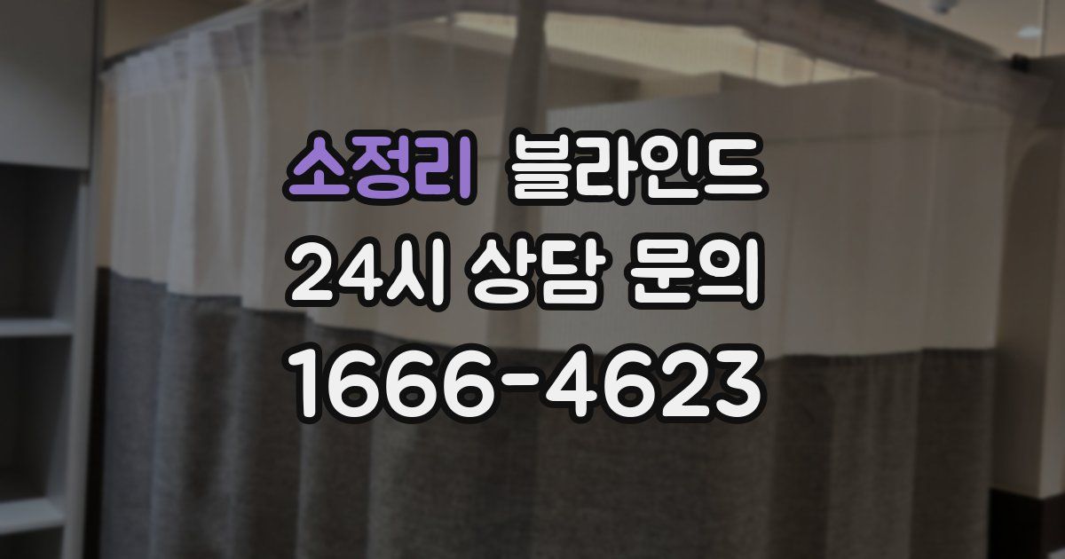 소정리 블라인드