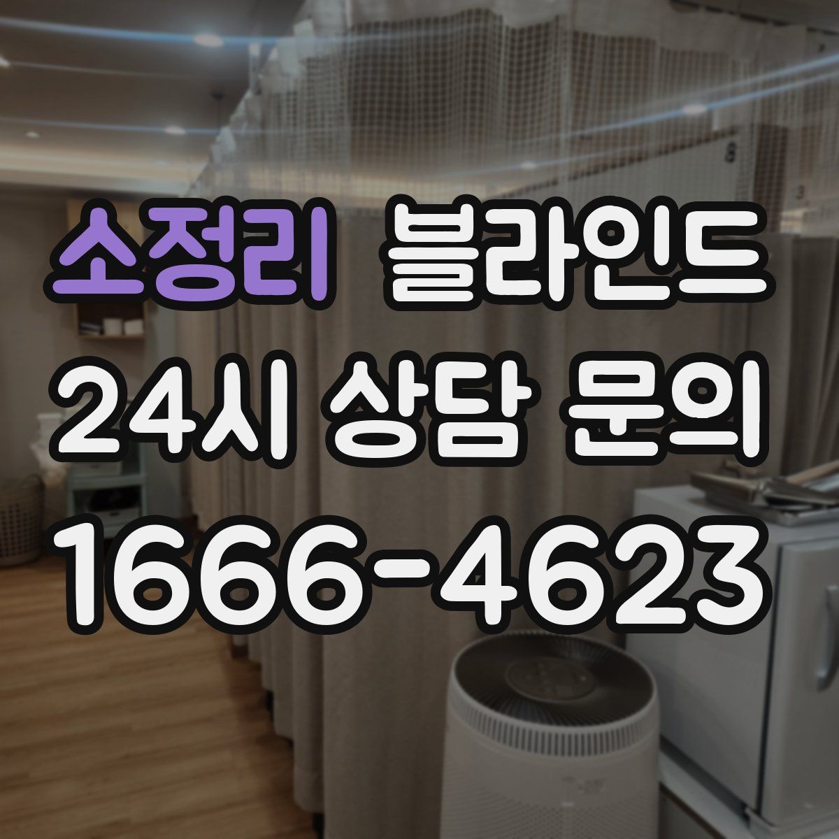 소정리 블라인드