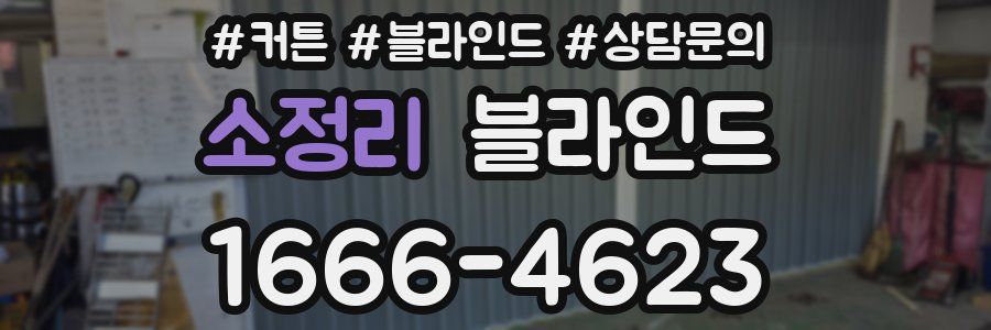소정리 블라인드