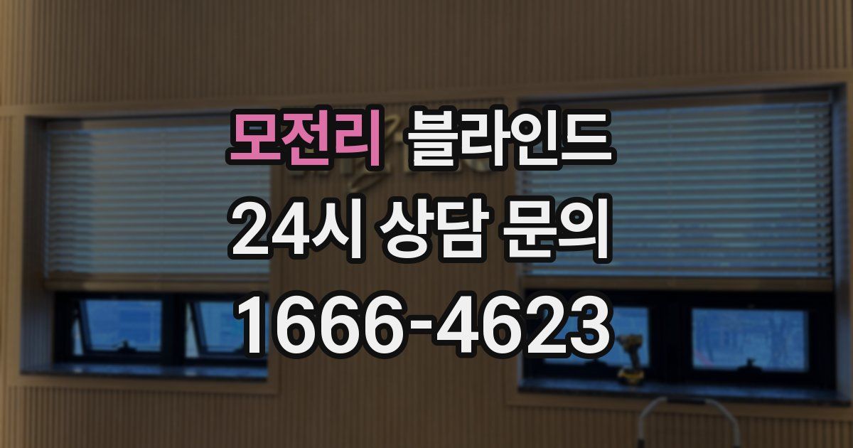 모전리 블라인드