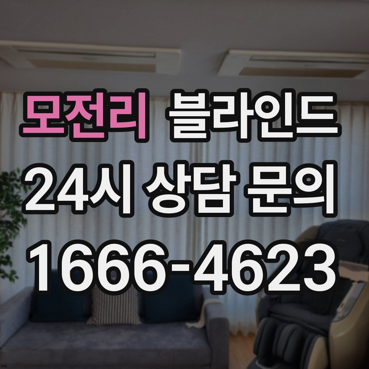 모전리 블라인드
