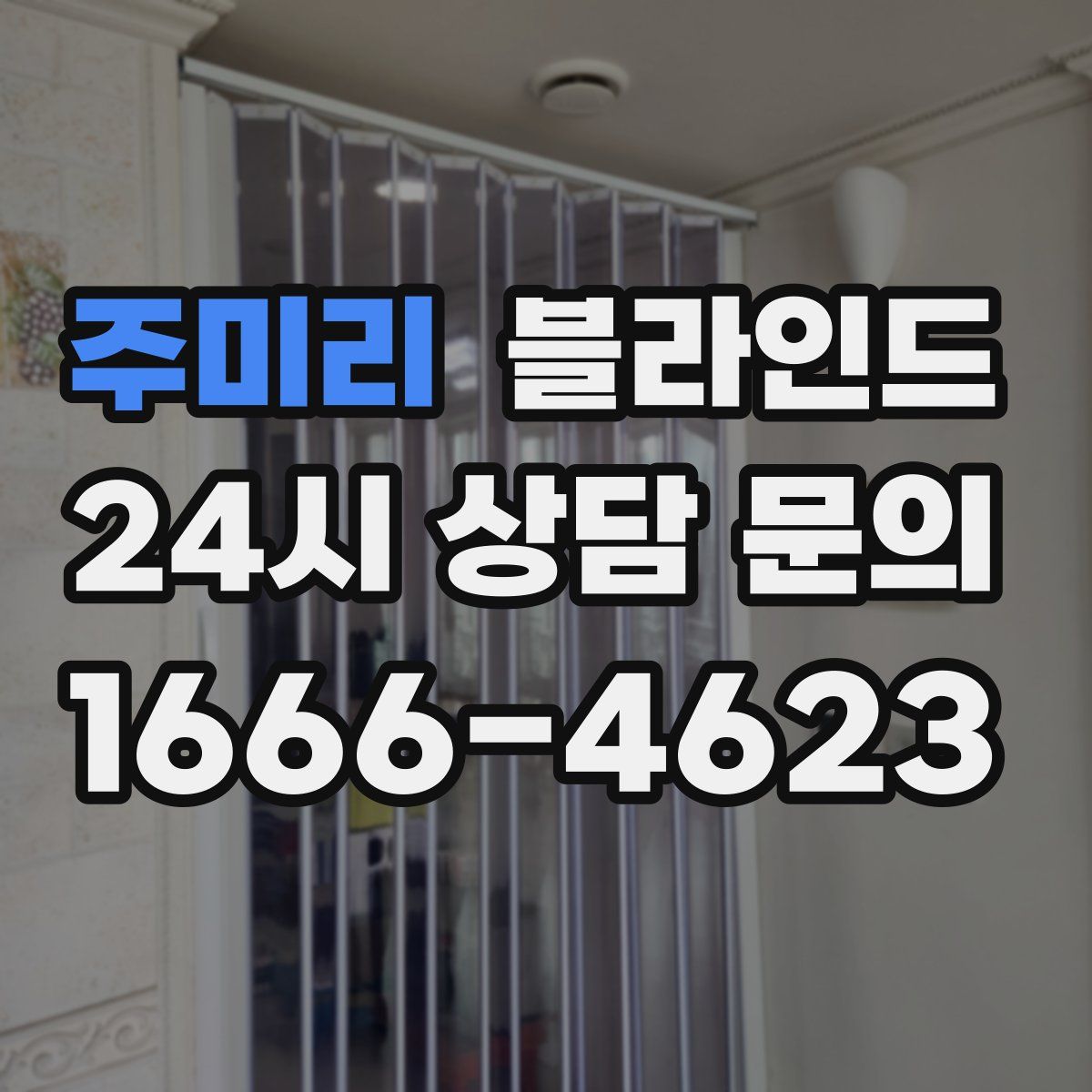 주미리 블라인드
