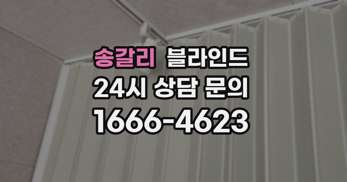 송갈리 블라인드