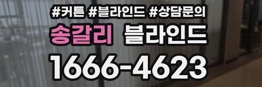 송갈리 블라인드
