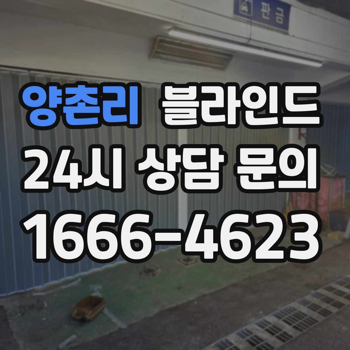 양촌리 블라인드