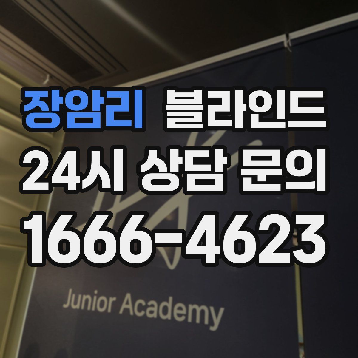 장암리 블라인드