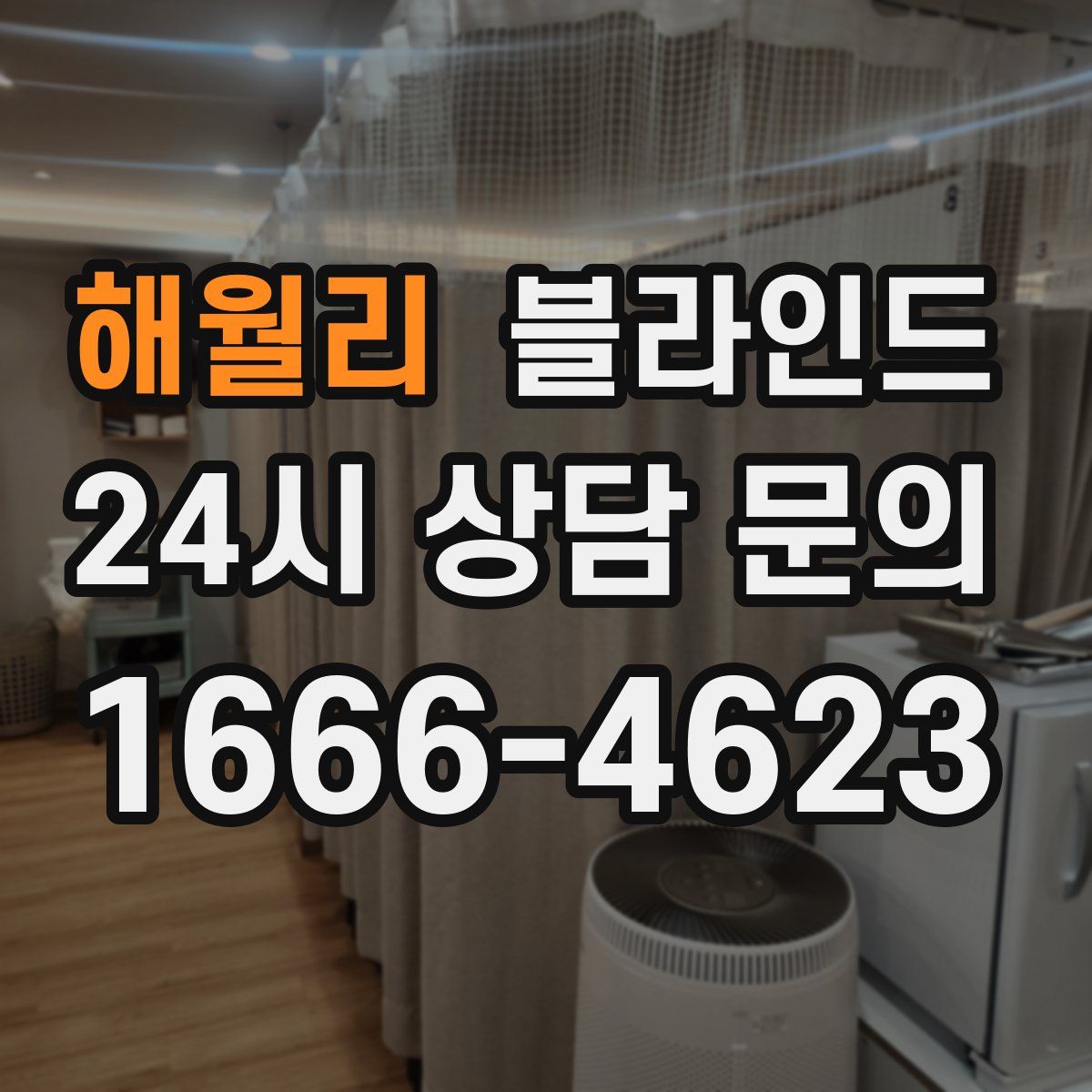 해월리 블라인드