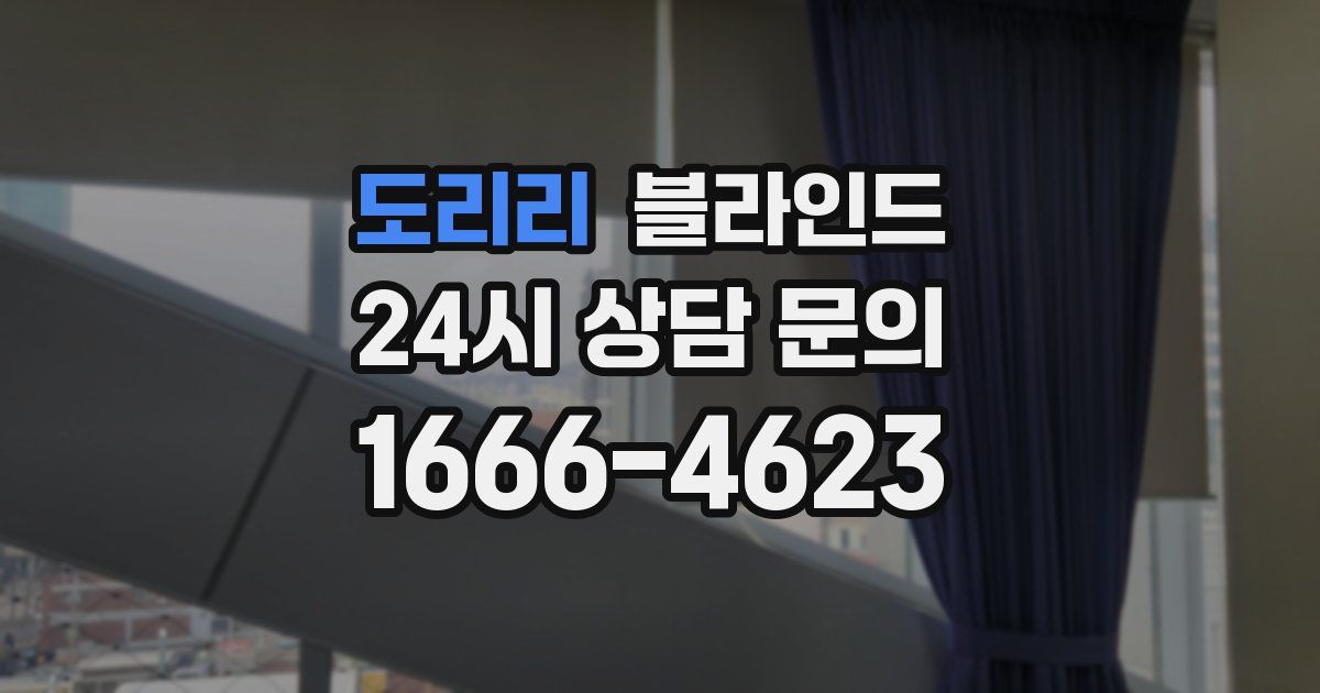 도리리 블라인드