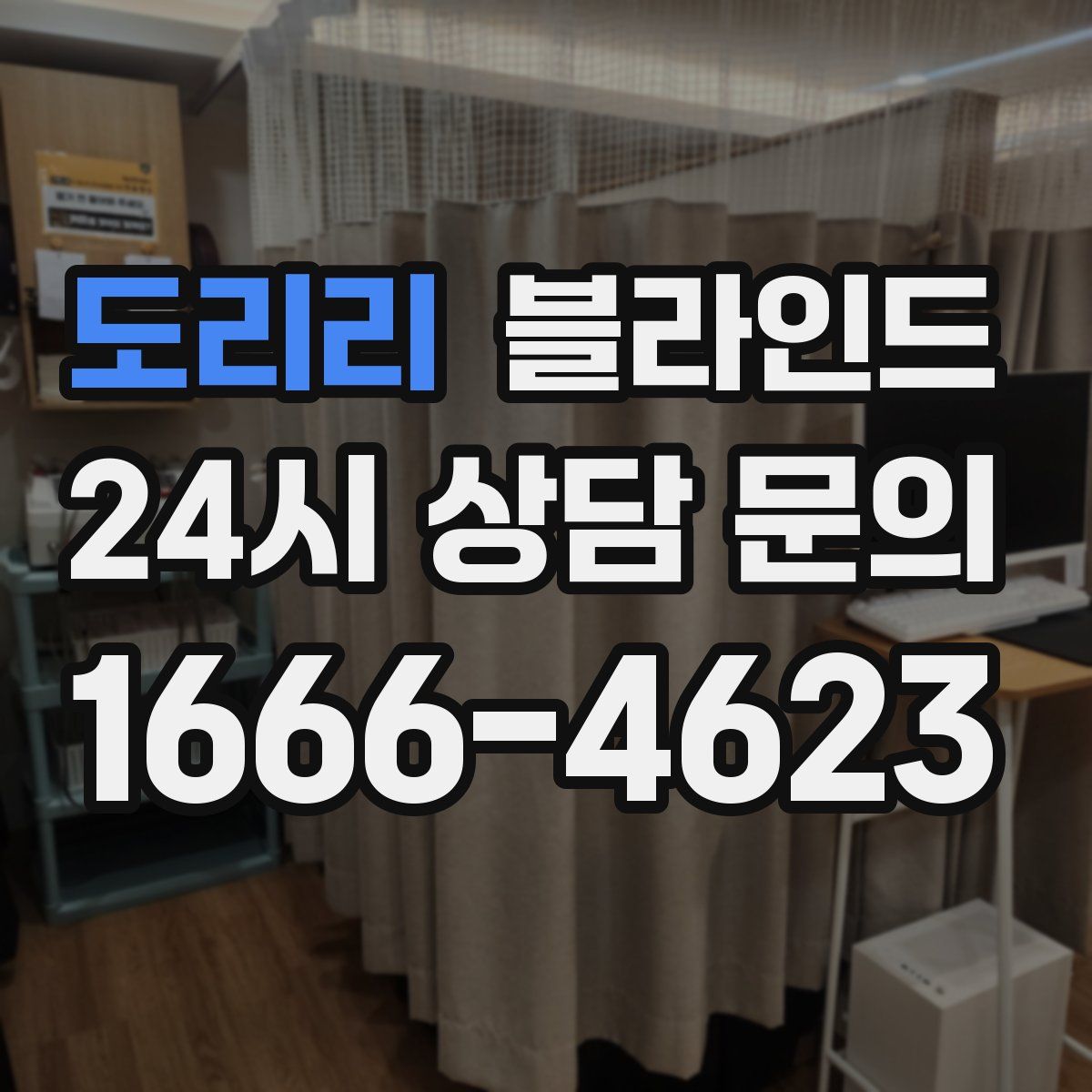도리리 블라인드