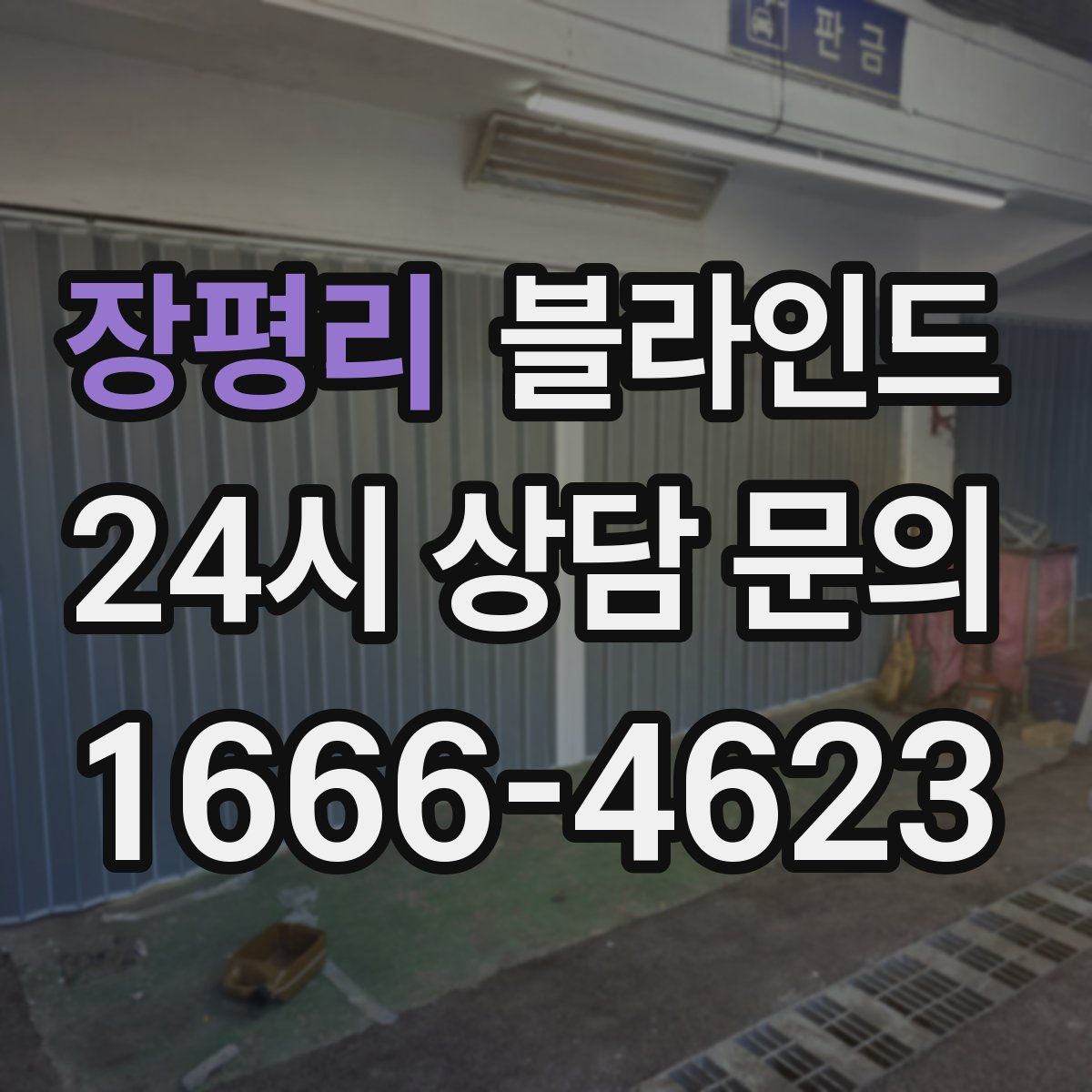 장평리 블라인드
