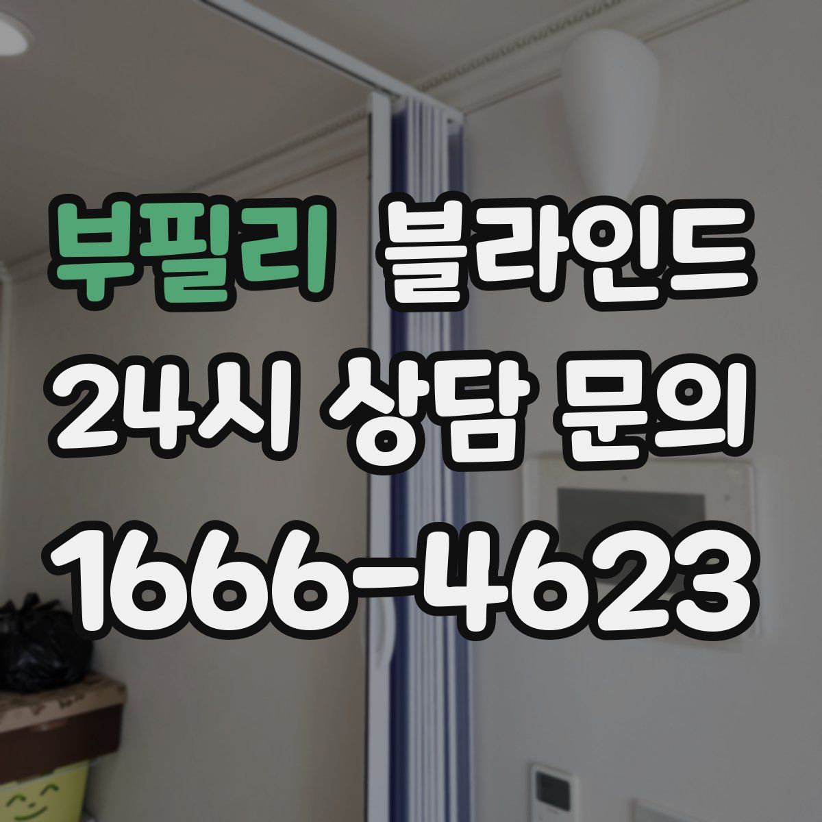 부필리 블라인드