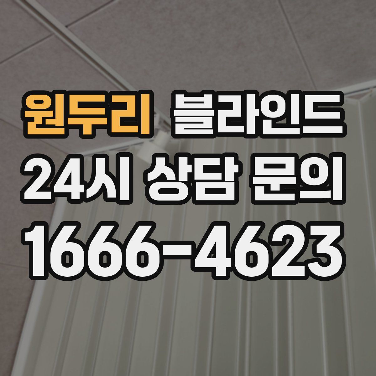 원두리 블라인드