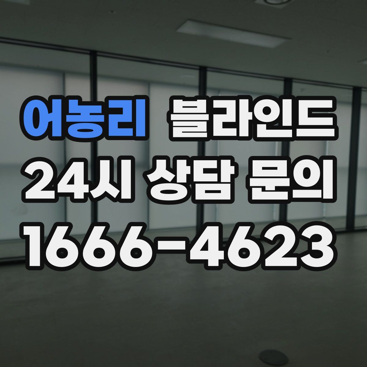 어농리 블라인드
