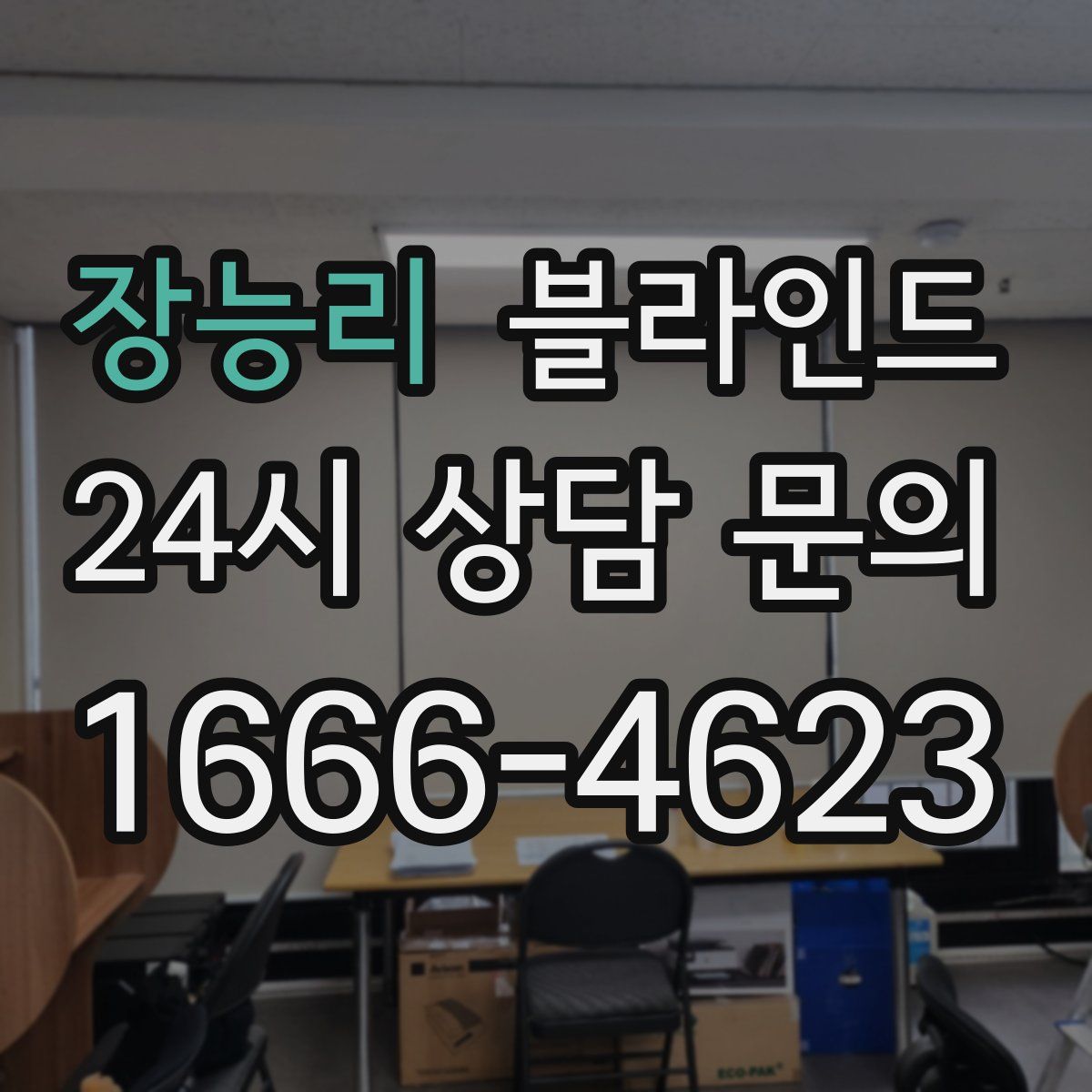 장능리 블라인드