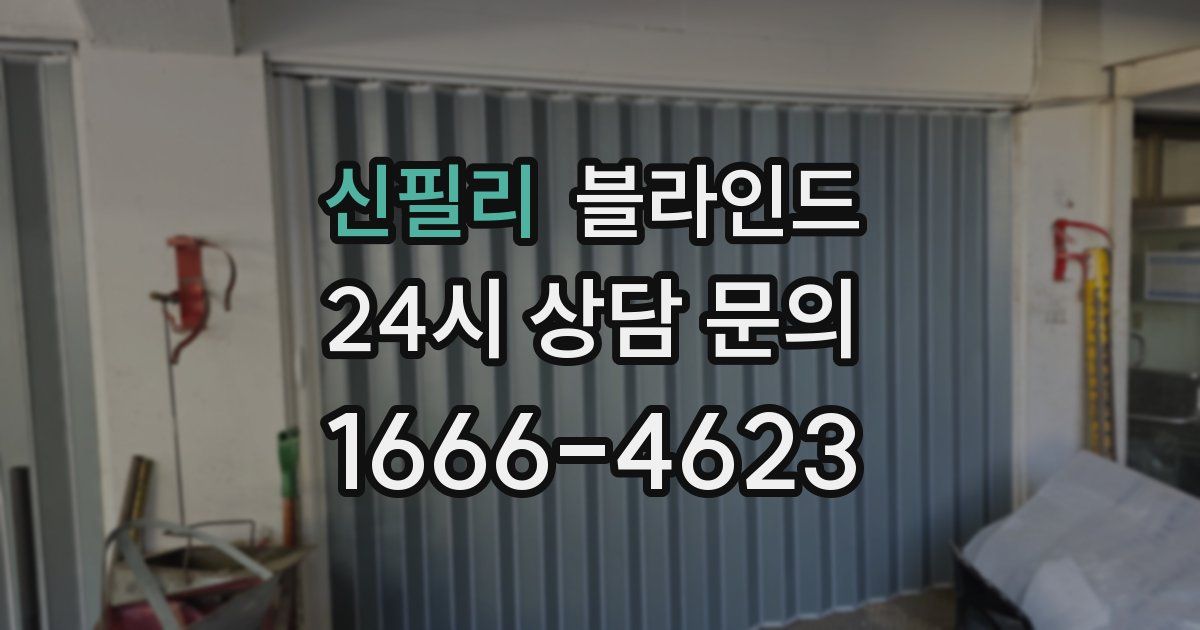 신필리 블라인드