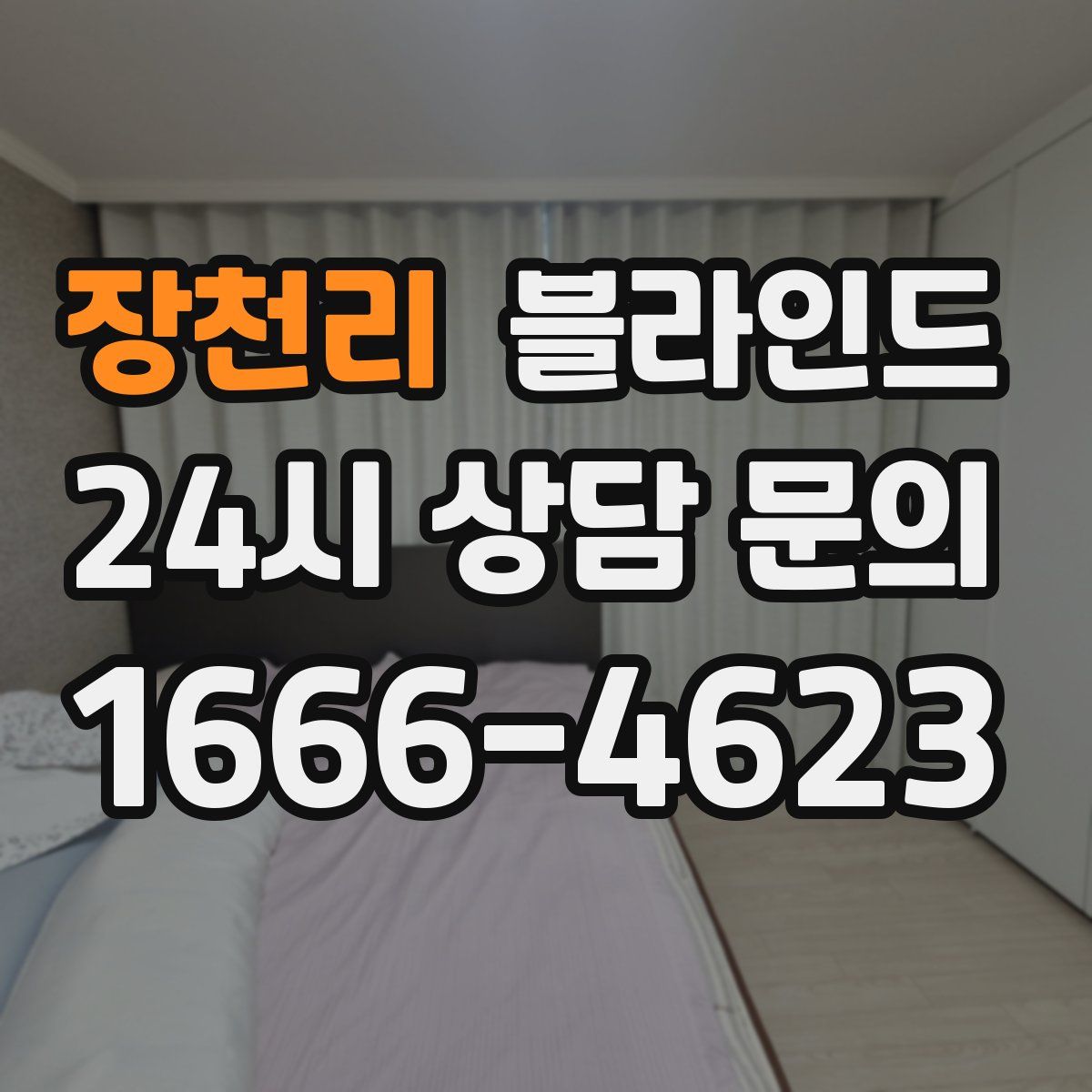 장천리 블라인드