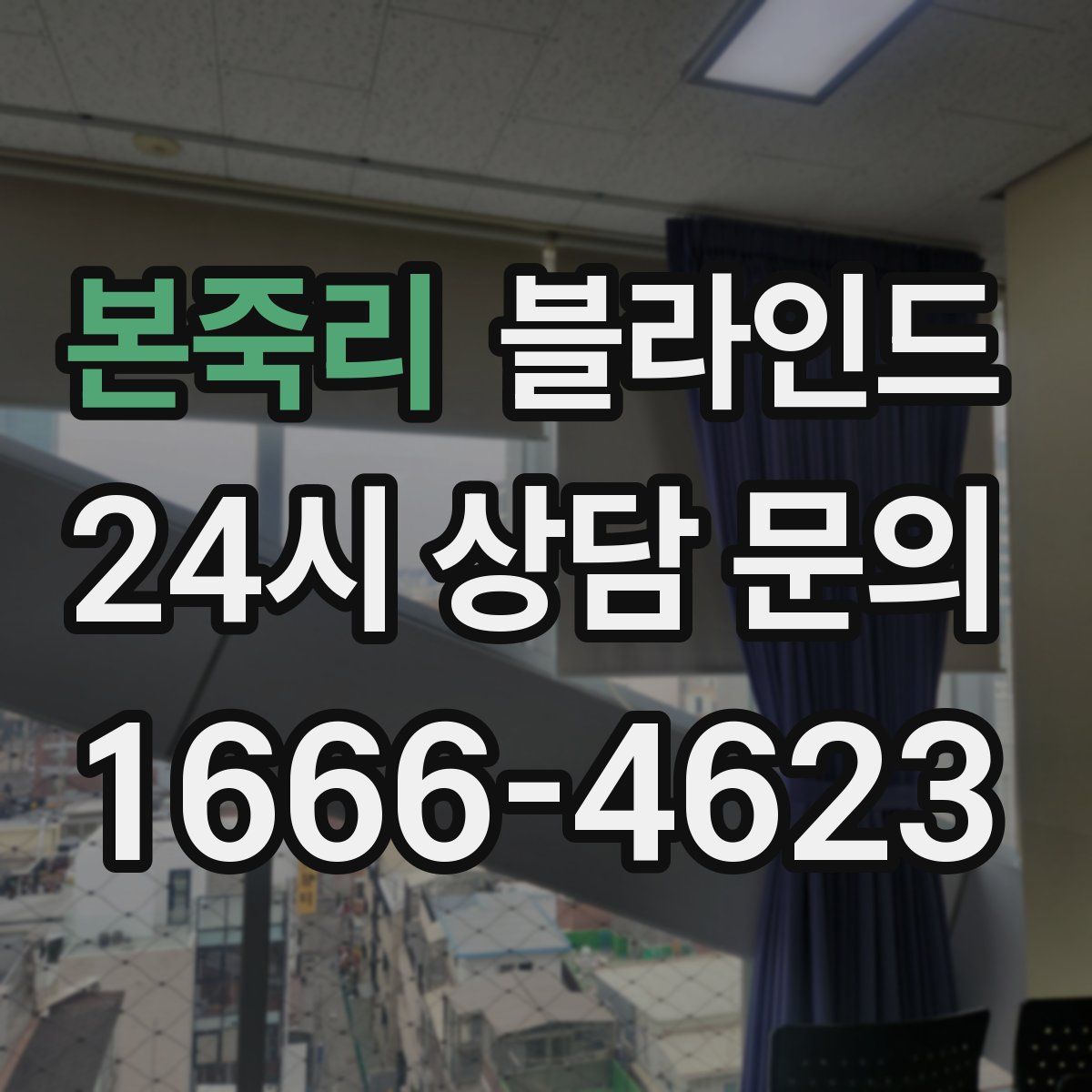 본죽리 블라인드