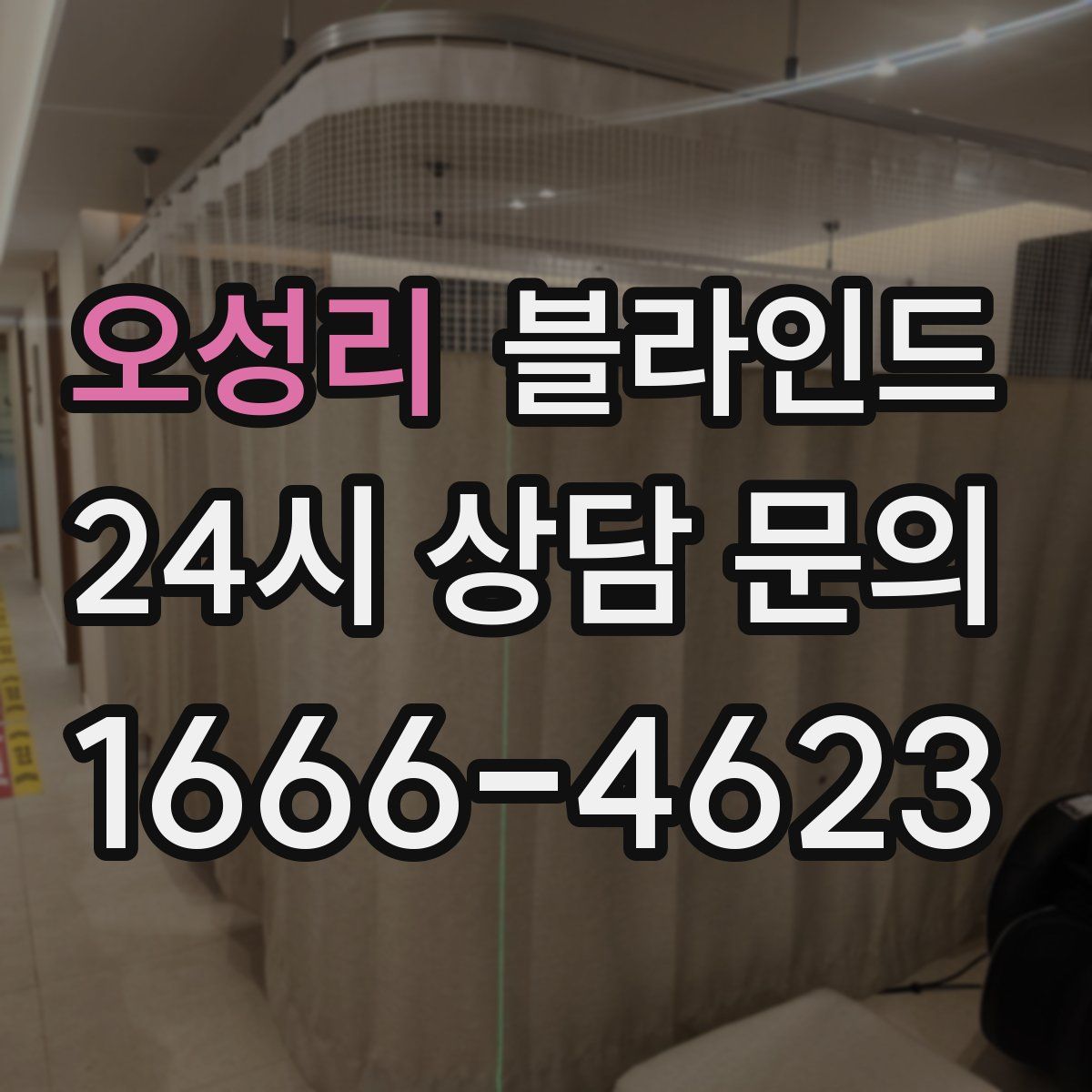 오성리 블라인드