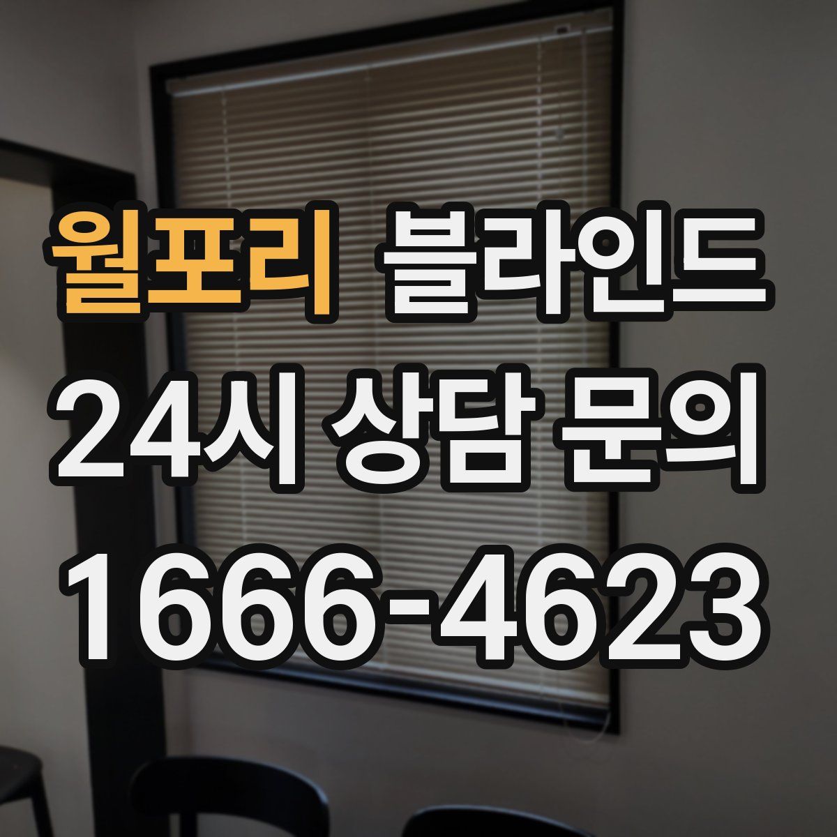 월포리 블라인드