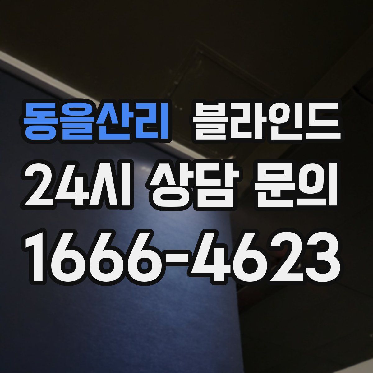 동을산리 블라인드