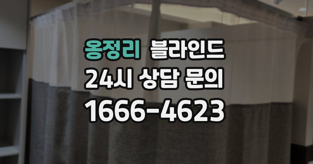 옹정리 블라인드
