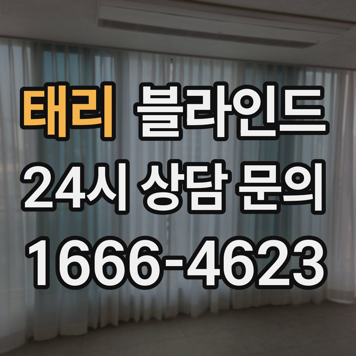 태리 블라인드