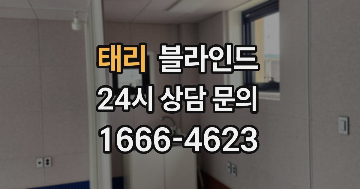 태리 블라인드