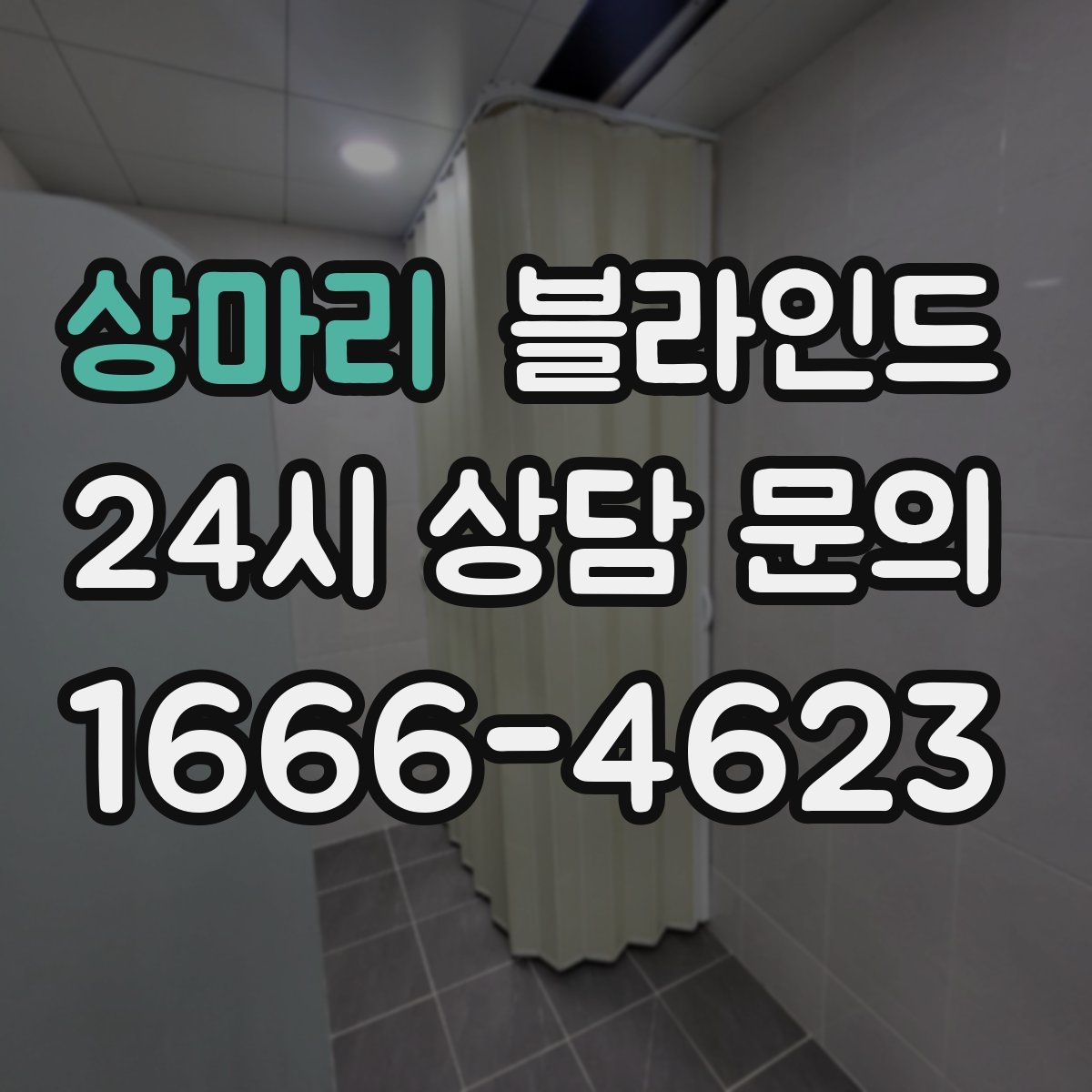상마리 블라인드