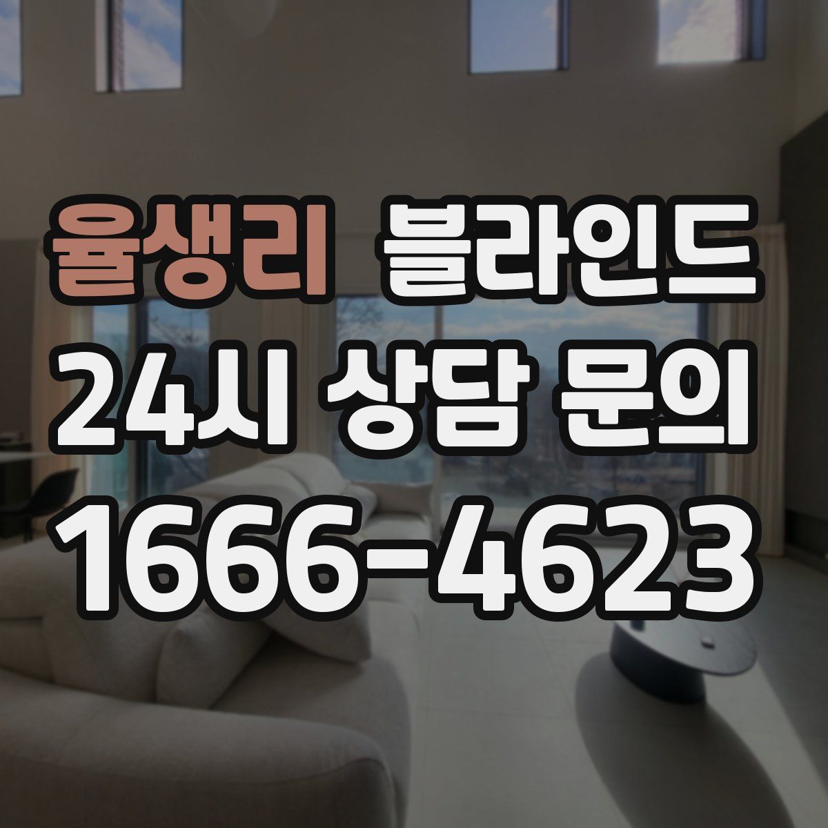 율생리 블라인드