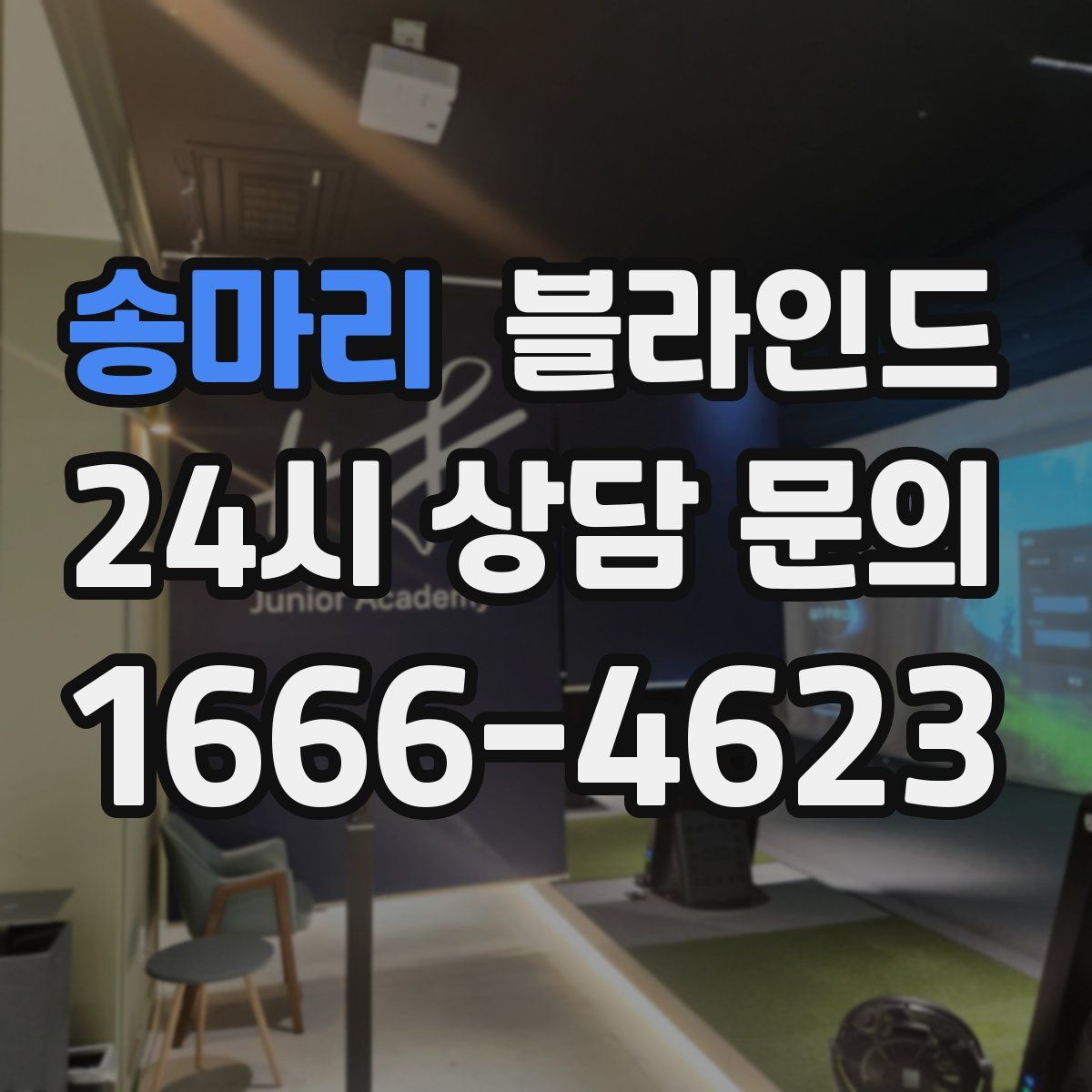 송마리 블라인드