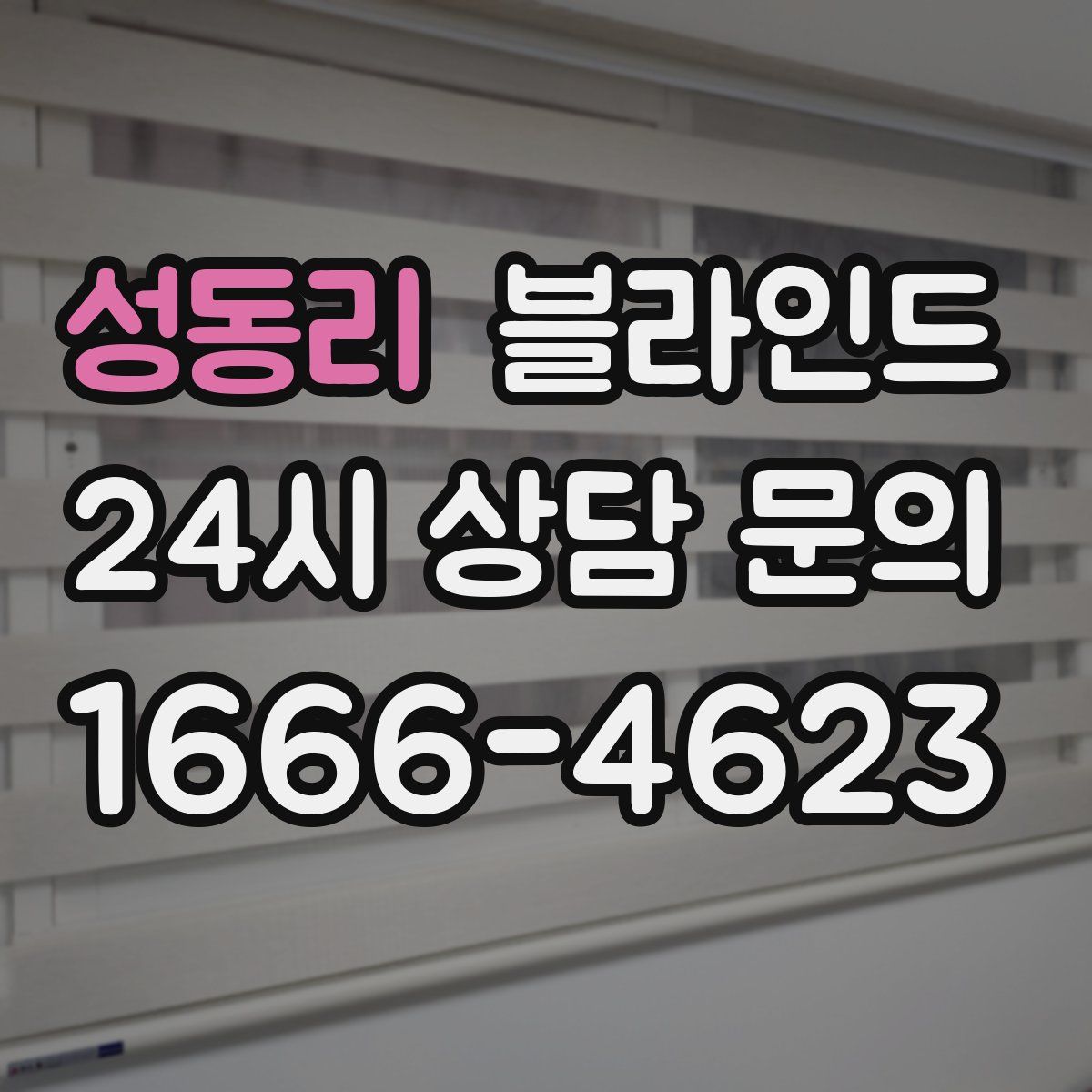 성동리 블라인드