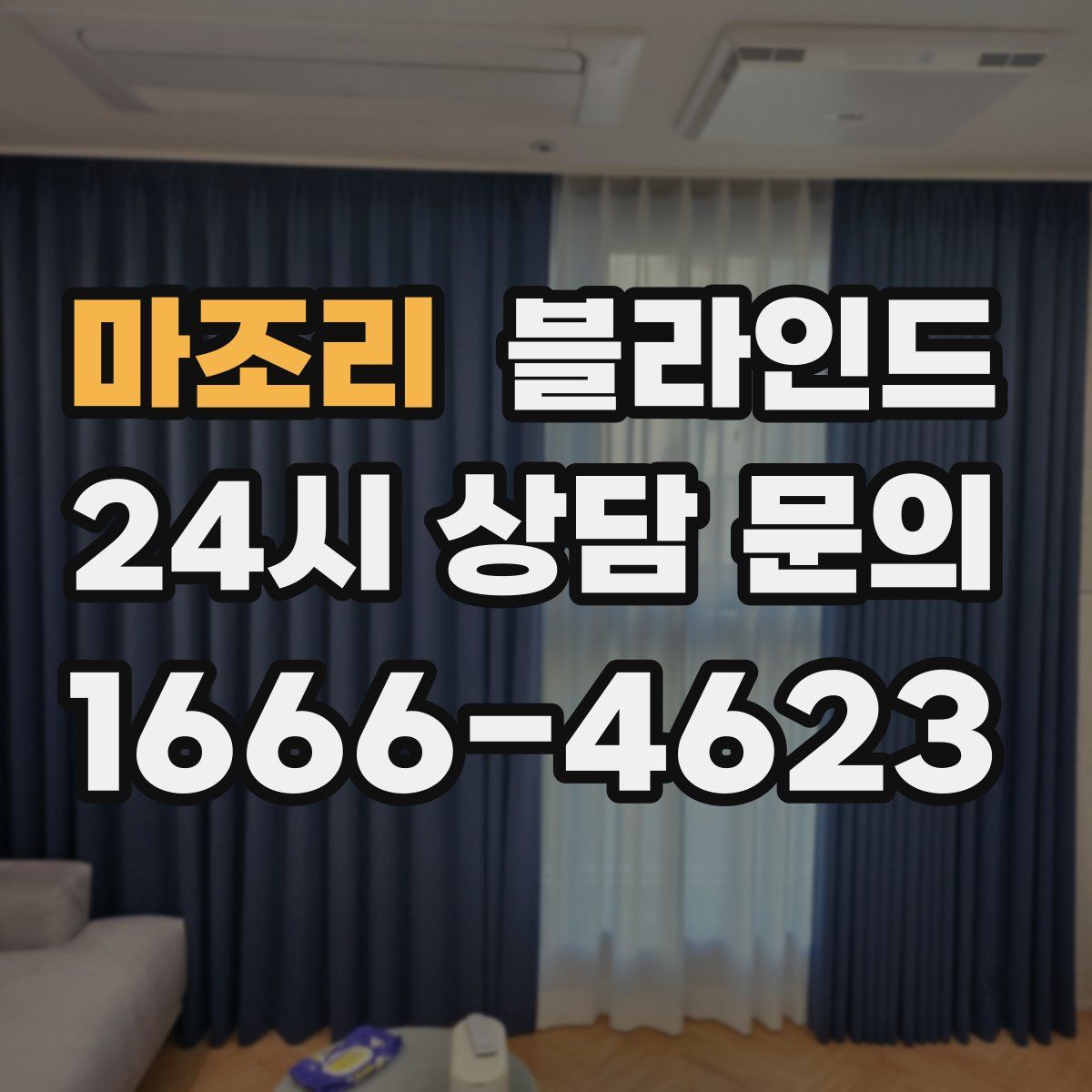 마조리 블라인드