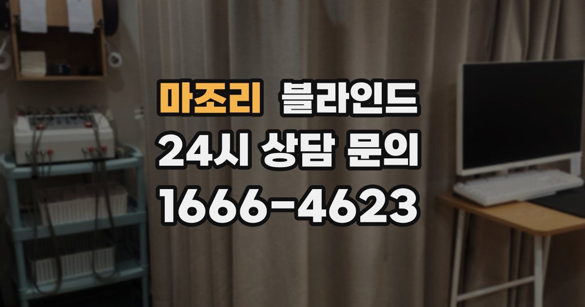 마조리 블라인드