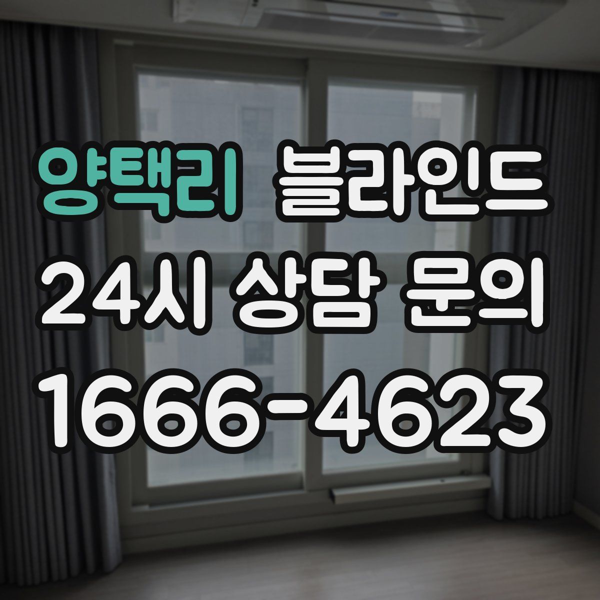 양택리 블라인드