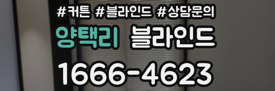 양택리 블라인드