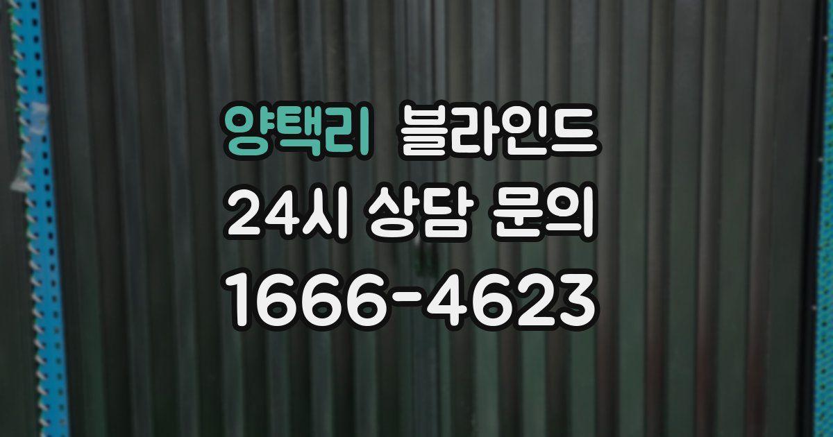 양택리 블라인드