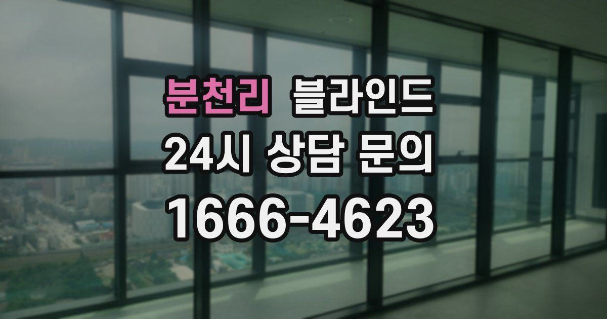 분천리 블라인드