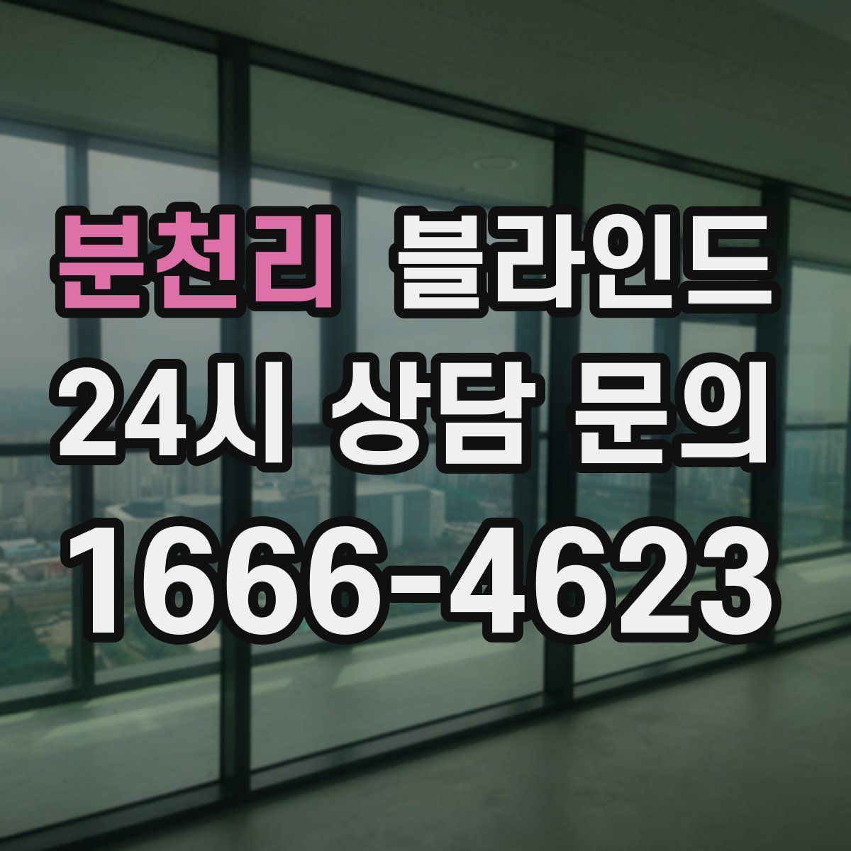분천리 블라인드