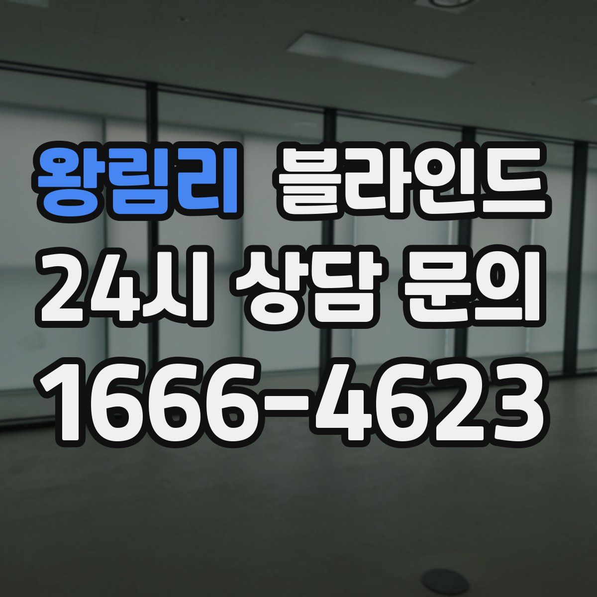 왕림리 블라인드